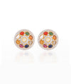 Multi Color Ear Studs