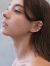 Pear Ear Climb
