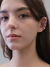 Pear Ear Climb
