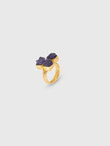 Arcane Tanzanite Ring
