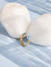 Arctic Ring