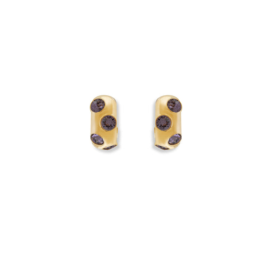 Luxe Crystal Hoops