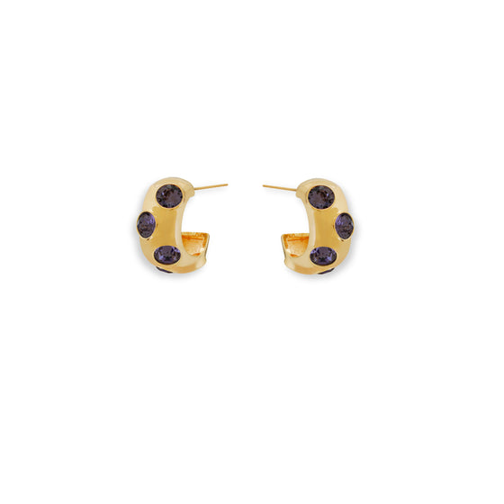 Luxe Crystal Hoops