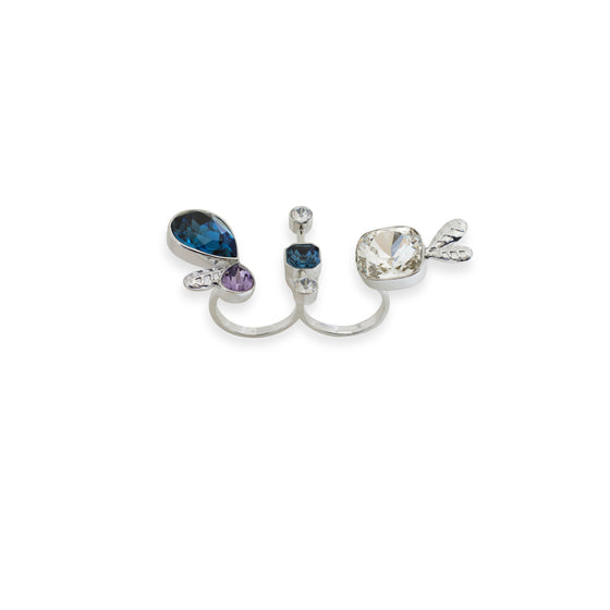 Asymmetric Multi-Crystal Ring