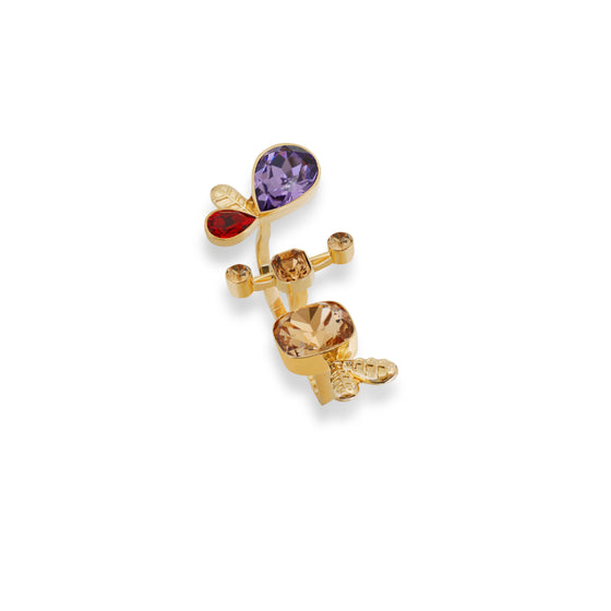 Asymmetric Multi-Crystal Ring