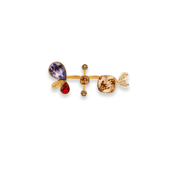 Asymmetric Multi-Crystal Ring