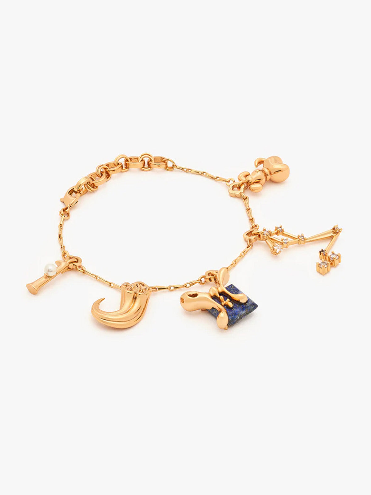 Pisces Charm Bracelet