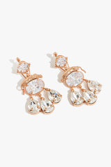 Wild Leopard Crystal Dangle Earrings