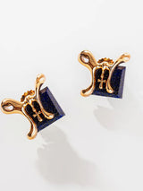 Pisces Zodiac Studs