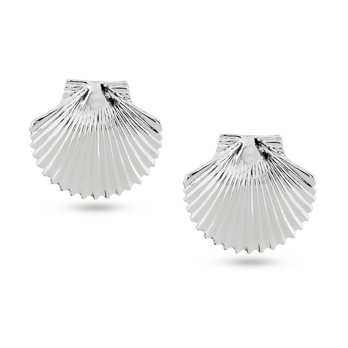 Silver Tops Shell Earring