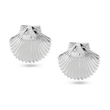Silver Tops Shell Earring