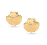 Gold Tops Shell Earring